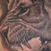 Tattoos - Lion Profile  - 91567